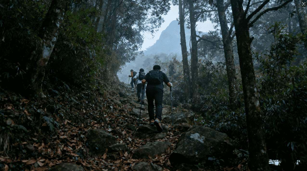 海鸥加速器苹果版下载流程详解与安装步骤指南